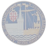 LyddTC-Flag_2025_grey